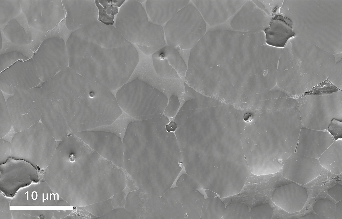 场发射三亚扫描电镜