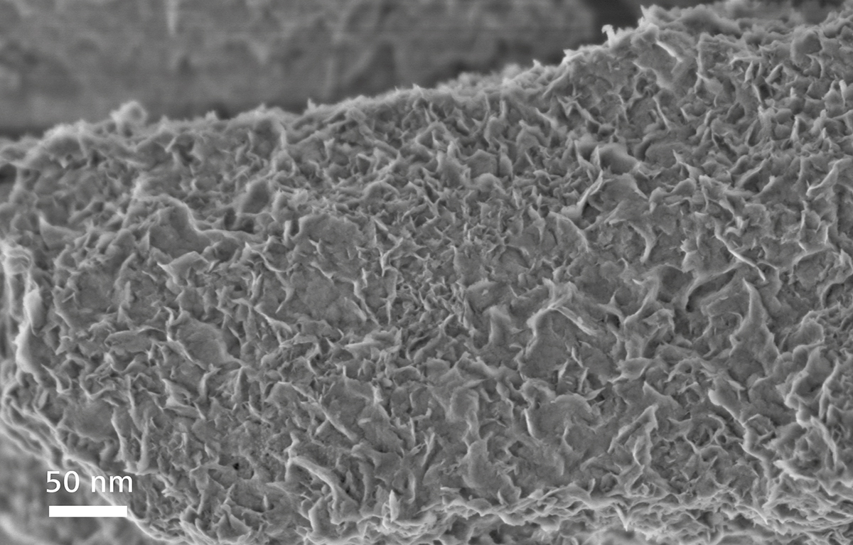 场发射三亚扫描电镜