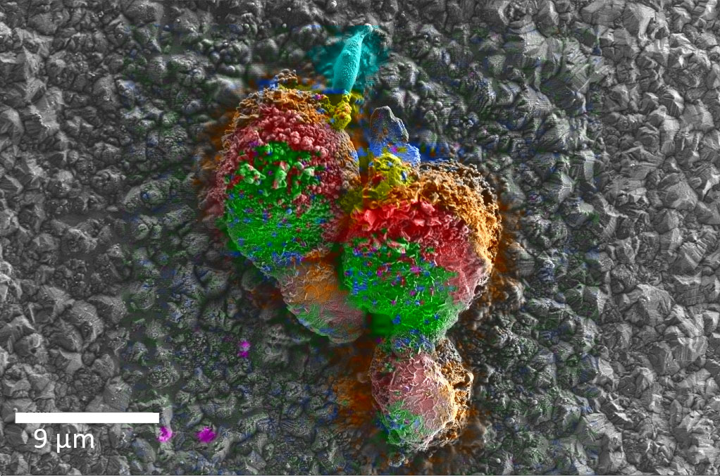 三亚三亚蔡司三亚扫描电镜